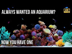 🐠 Relaxing Aquarium 4K Crystal Coral World | 12 Hours of Exotic Fish & Gentle Fish Tank Sounds