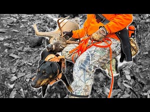 Whitetail Buck Tracked 600 Yards with ONLY 3 DROPS OF BLOOD!