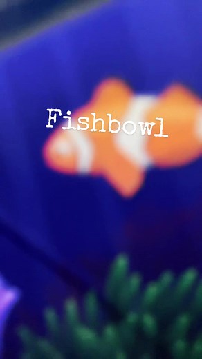 Did you find Nemo? #gigi22asmr #fishbowl #asmr #mouthsounds