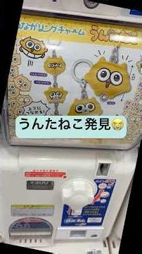 【ガチャガチャ】うんたねこ発見💡#ガチャ #ガチャガチャ#ガチャ動画 #ガチャポン #開封動画 #うんたねこ#shorts #ショート