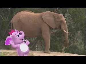 Redone Songs: The Elephant Song!