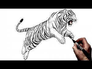 How To Draw A Pouncing Tiger | Step BY Step