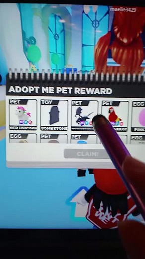Exploring Virtual Pets in Adopting Game Environments
