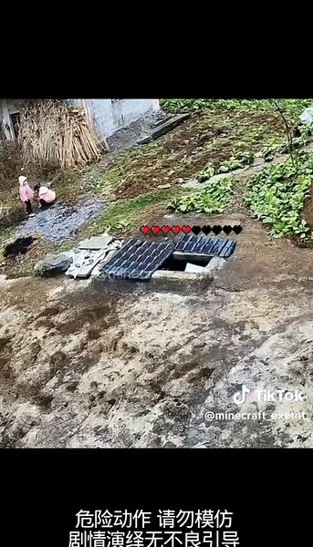 Creative Minecraft Animation Memes