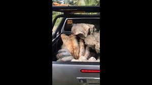 9.6K views · 471 reactions | ICYMI: PCG, NAKUMPISKA ANG 90 PIRASO NG...