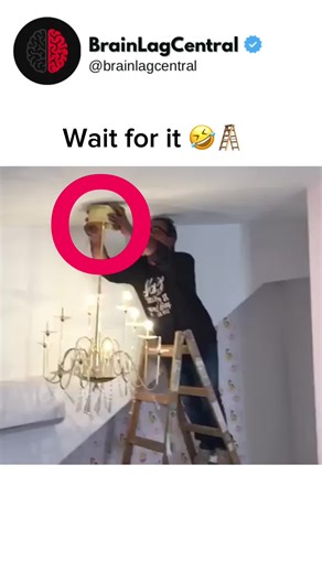 Hes all good. Phew 🤣 🪜 #funny #fail #fall #ladder #meme