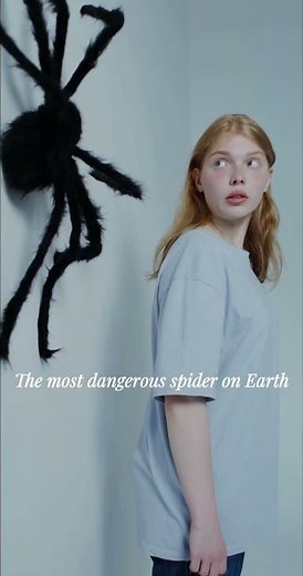 The Most Dangerous Spider Ever 😨