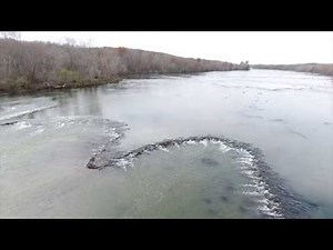 PeeDee River Native American Fishing Weirs