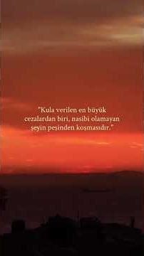 #allah #ilahirahmet #islamicvideo #sevgi #öneçıkar #huzur #iman #dua #shortvideo #shorts