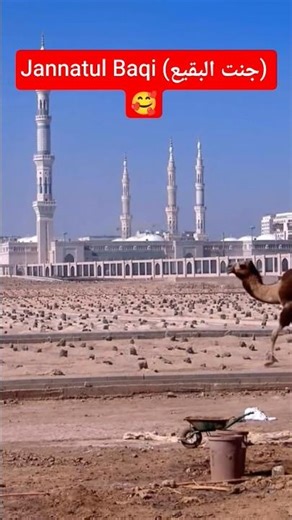 Jannatul Baqi 🥰#viral #viralshorts #viralvideo #duet #unfrezzmyaccount #bayan #islamicstatus #cute