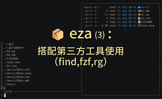 📦 eza(3): 搭配第三方工具使用（find,fzf,rg）