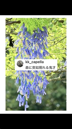 These wisteria flowers made from clothespins are absolutely ingenious...
