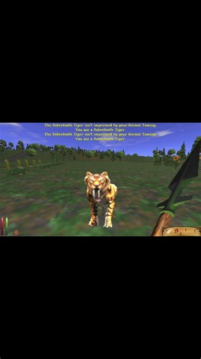 Daggerfall Tigers #gaming #games #daggerfall #retrogaming #elderscrolls #retro #bethesda #rpg