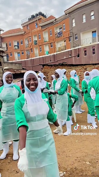 Nursing Students' Community Placement Experiences