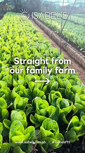 Nothing but the freshest ingredients for every Isabel's dish! 🥗 ICYDK, Isabel’s farm is about two hectares of land located in Alfonso, Cavite and delivered to cities across Metro Manila! Want to start your healthy journey today? Visit https://isabels.com.ph #IsabelsPH | Isabel's