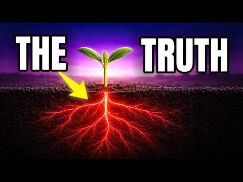 Why Can't Farmers Plant the Same Crop Every Year?