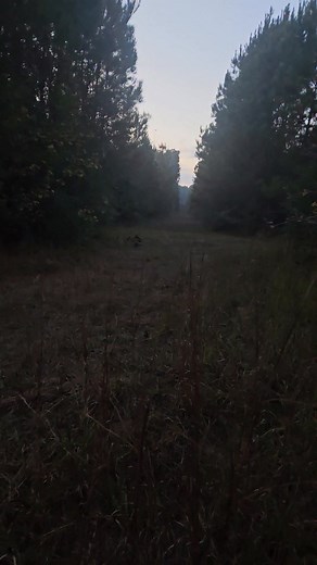 Hard stand! | Leroy Slade Jr.