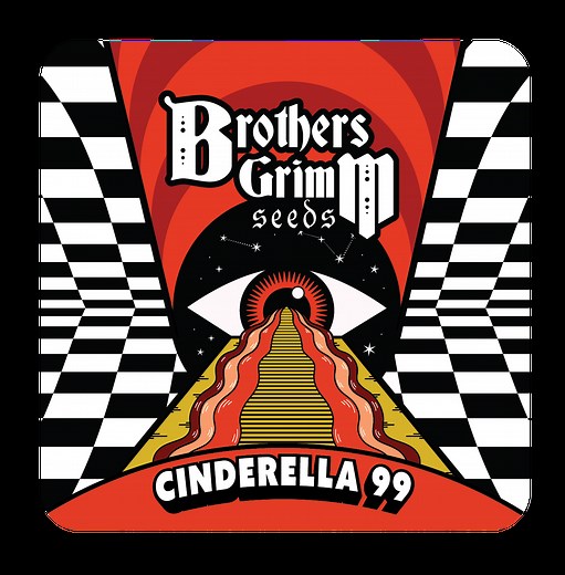 Cinderella 99 | Buy Cinderella 99 Seeds by Brothers Grimm Seeds