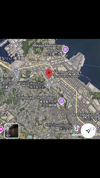 Understanding Transfemmemes and Their Community