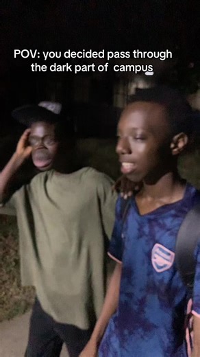 Experiencing Strange Noises on Campus at Night