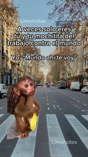 SOY | Limoncitos club