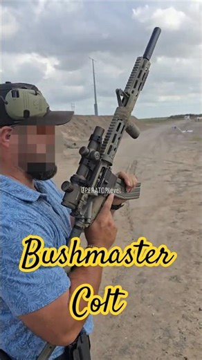 BUSHMASTER COLT @ the Range 2 #airsoft #shootingrange #pewpew #range #rangetime