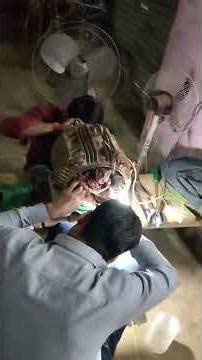 15 hp 3phese motor winding🥰 #duet #viral #trending #motor #rewinding #ytshorts #shorts #youtuber