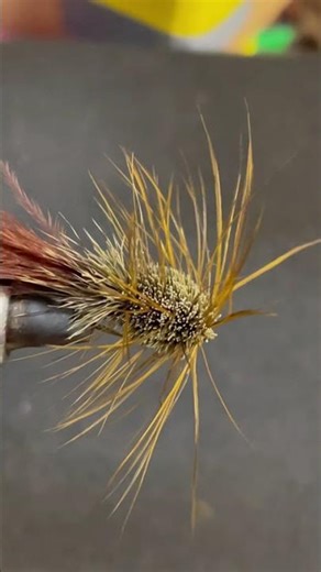 #10 floating wooly bugger