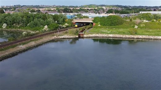 8.7K views · 251 reactions | Our first visitors have arrived on the...