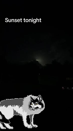 #wolves #sunset #moon #howlatthemoon