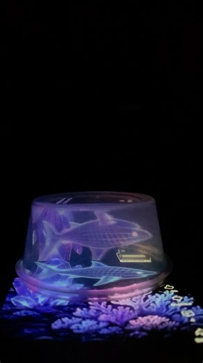 Hand Extracts | hologram video #hologram | Instagram