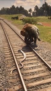 Epic Snake Stops Bear Attack on Railway to Save a Man | v29 Epic cinematic game moment where a snake suddenly strikes a bear during a dangerous railway encounter to save a helpless man. The tension rises fast as danger surrounds the railway track, turning this into an unforgettable survival moment. 🎮 Game-based cinematic short ⚠️ Entertainment only | No real harm 👀 Watch till the end! snake saves man snake vs bear bear attack short railway danger scene wildlife rescue moment epic animal encoun