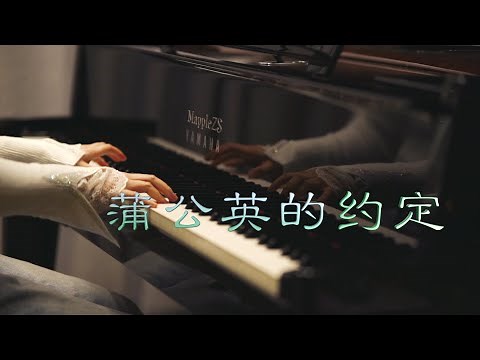 周杰伦「蒲公英的约定」-MappleZS钢琴演奏