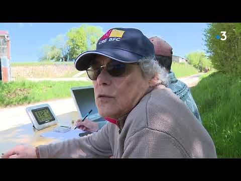 Course de chevaux : les attelages comtois se préparent à la route du poisson