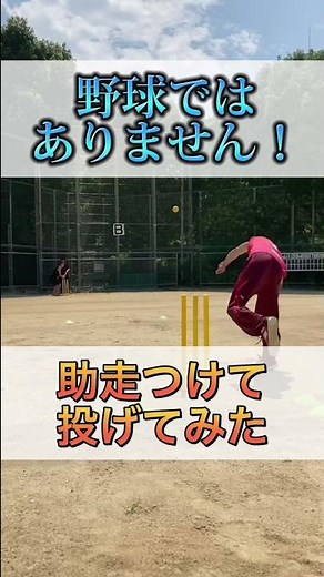 クリケット知ってる人？？👀