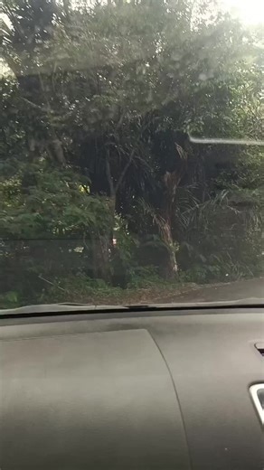 l love you 😆 (@seventhday376)’s videos with suara asli - l love you 😆