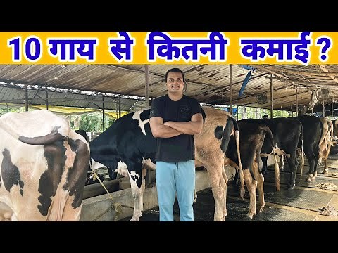 small dairy farm business plan | 10 गायों से कितनी कमाई #dairyfarming