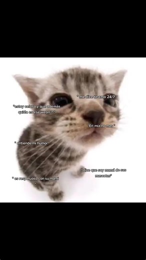 #greenscreen ?!@{videoText}*/% 😻