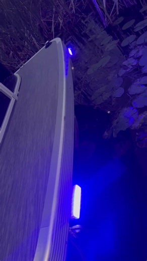 Must Watch! Pontoon LED light white & blue glow