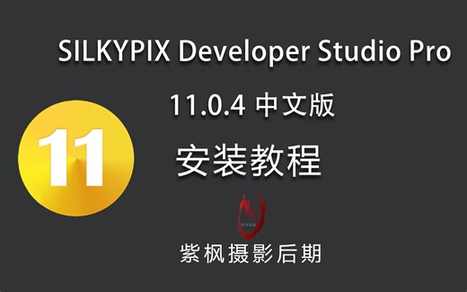 RAW后期神器！SILKYPIX Developer Studio Pro 11 最新中文版安装教程