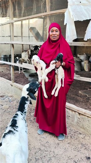 Welcoming Our Precious Newborn Twins