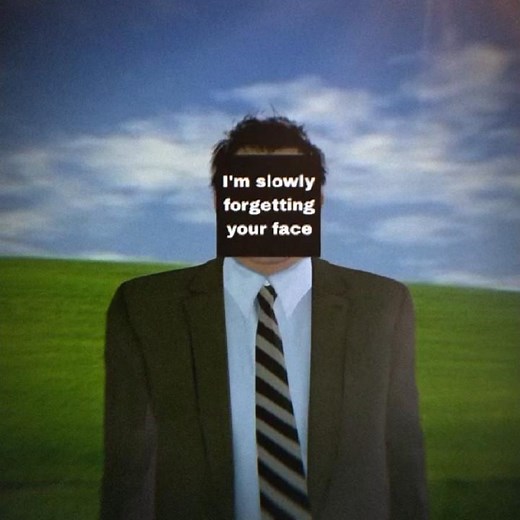 I'm slowly forgetting your face Dafuq!?Boom! #skibiditoilet #trending #freeboom