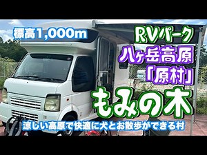 RVパーク八ヶ岳高原「原村」もみの木：涼しい高原で快適に犬とお散歩ができる村