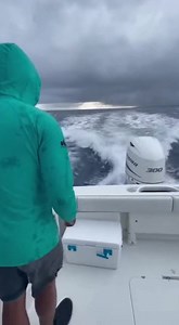 468K views · 5.7K reactions | A seal jumps onto a boat to escape a...