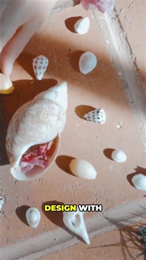 The Fish That Builds Sand Art to Attract Mates