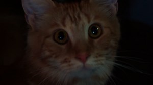 New Alien: Earth Trailer Remakes the Original Alien Movie Trailer — and That Poor Cat Will Never Be the Same Again