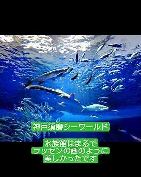 神戸須磨シーワールドの水族館。水槽の大きさや珍しさではなく、生命の多様性と美しさを感じられる水族館でした。