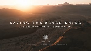 An 80% reduction in black rhino poaching. ​ The largest black rhino database in the world. ​ 21 years of impactful community collaboration.​ Through a groundbreaking partnership with Save the Rhino Trust Namibia, a team of dedicated rangers and local conservancies, the rare, Critically Endangered desert-adapted black rhino is returning from the brink of extinction.​ Discover the desert jewel where it all started, track a black rhino on foot with expert guides, and immerse yourself in a story of 