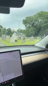 Tesla sees a ghost in the cemetery
