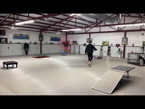 Wookie-Board and Train Program